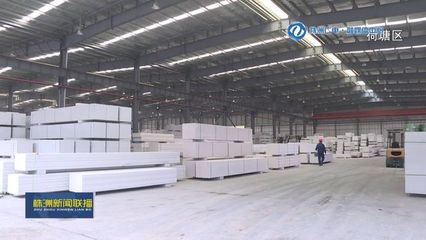 项目建设百日攻坚行动 荷塘区:湖南飞山奇新型环保建材制造基地竣工